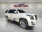 2019 Cadillac Escalade Platinum