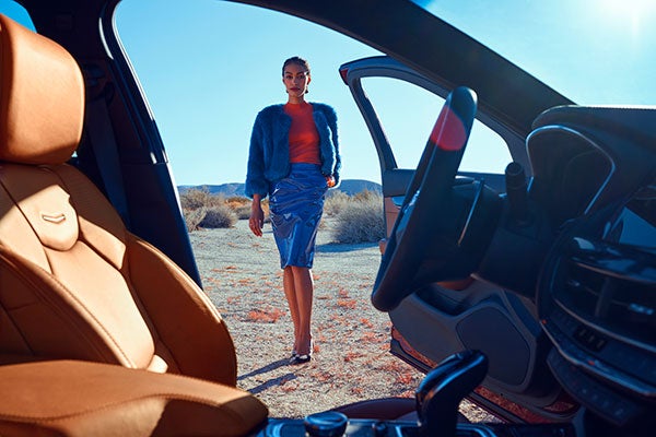 Cadillac Parked on sand